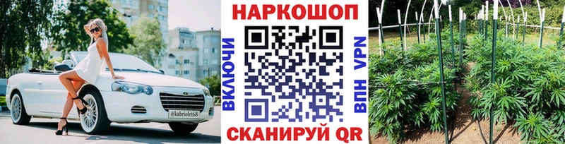 Наркотические вещества Ворсма ГАШИШ A PVP МЕФ МЕТАДОН Бошки Шишки
