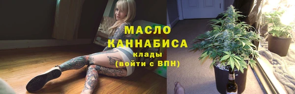 индика Волоколамск
