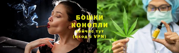 индика Волоколамск