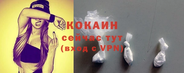 индика Волоколамск