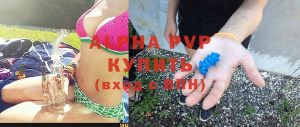 индика Волоколамск