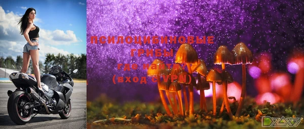 индика Волоколамск