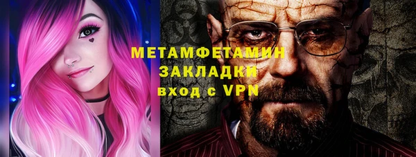 индика Волоколамск