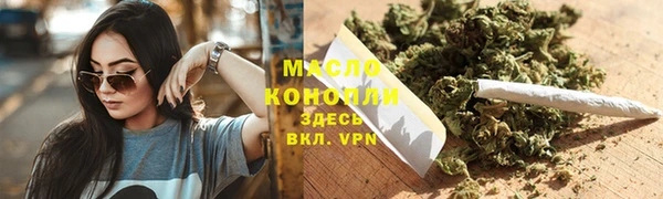 индика Волоколамск