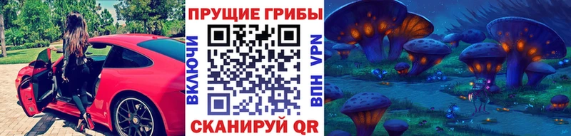 Псилоцибиновые грибы мицелий Ворсма