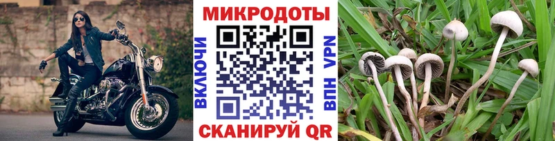 Псилоцибиновые грибы прущие грибы  даркнет сайт  Ворсма 